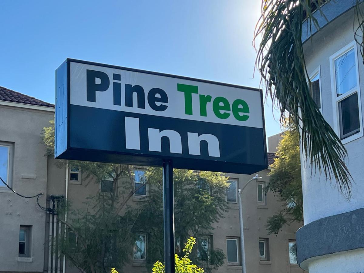 Pine Tree Inn — Photos 1